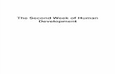 4 the Second Week of Human Development E-learning