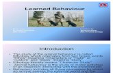 Learned Behaviour Seminar