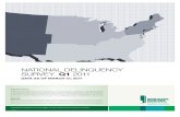Report on Foreclosure Nationally