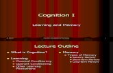 Lecture 4 - Cognition I