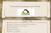 UNIX Training Basics
