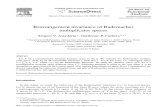 Serguei V. Astashkin and Guillermo P. Curbera- Rearrangement invariance of Rademacher multiplicator spaces