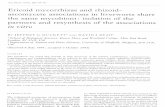 Ericoid Mycorrhizas and Rhizoidascomycete Associations
