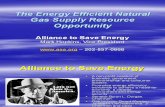 Natural Gas Conservation