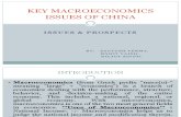 Key Macroeconomics Issues of China