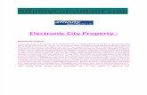 Electronic City Bangalore