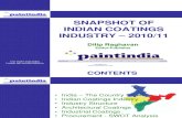 Paint India DR Industry Summary 2011