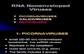 RNA Non Enveloped Viruses