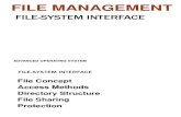 Report Hans-Lanie File-System Interface
