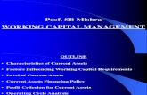 MBA 2009 Working Capital Management 2