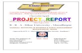 Seraj Project Report