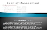 Span of Management (PoM Project)