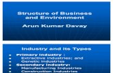 ED-Structure of Business and Environment