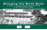 California; Bringing the Birds Back A Guide to Habitat Enhancement for Birds in the Sacramento Valley - PRBO Conservation Science
