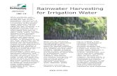 Alabama; Rainwater Harvesting for Irrigation Water - Alabama A&M University