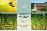 Selecting Plants for Pollinators: Eastern Broadleaf Forest Oceanic - North American Pollinator Protection Campaign