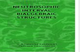 Neutrosophic Interval Bialgebraic Structures, by W. B. Vasantha Kandasamy, Florentin Smarandache