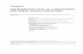 Chapter 6 - Neuroprotection as a Treatment for Nerve Agents Survivors - Pg. 221 - 242