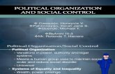 Political Organization and Social Control Final Report