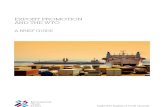 Export Promotion and the WTO - ITC 2009