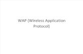 29-WAP (Wireless Application Protocol)
