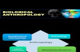 What is Biological Anthropology