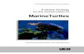 A Global Strategy for Conservation of Marine Turtles