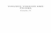 Virus Viroid Gate