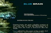 Blue Brain Final