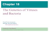 18- Virus&Bacteria Text