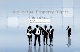 42 Intellectual Property Rights