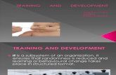 Methods of Training and Develop Men