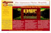 The Liguanea Plains Monthly October 2011 Issue