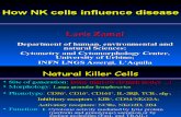Zamai GIC 2010 How NK Cells Influence Desease