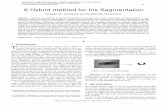 A Hybrid method for Iris Segmentation
