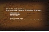 Syria 2011 Public Opinion Survey