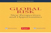 Global Risk Book