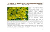 The Urban Gardener 34