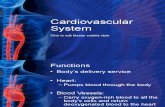 44437979 Cardiovascular System Notes[1]