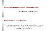 LN Fundamental Analysis Industry