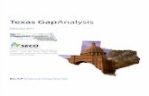 Texas Gap Analysis MASTER_0