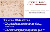 Topic 1 Living Cells on-line