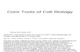 2-Methods Cell Biol 2011