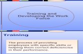 Taining and Develop Em En the Work Force