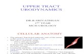 Upper Tract Urodynamics