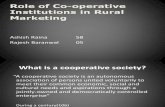 Cooperative Institutions