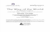The Way of the World Guide