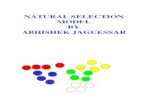 Natural Selection Model by Abhishek Jaguessar