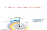 Lecture 2 - Natural Selection