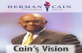 Herman Cain's 999 plan - Economic Growth
